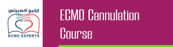 ecmo-cannulation-ecmo-experts-course-egypt